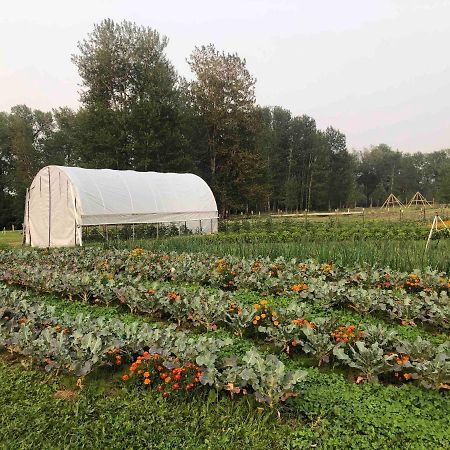 Bodhi Farms Hotel โบซแมน ภายนอก รูปภาพ